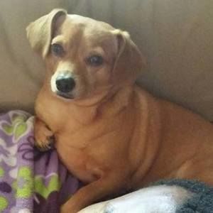 Meet your Posher, Brenda